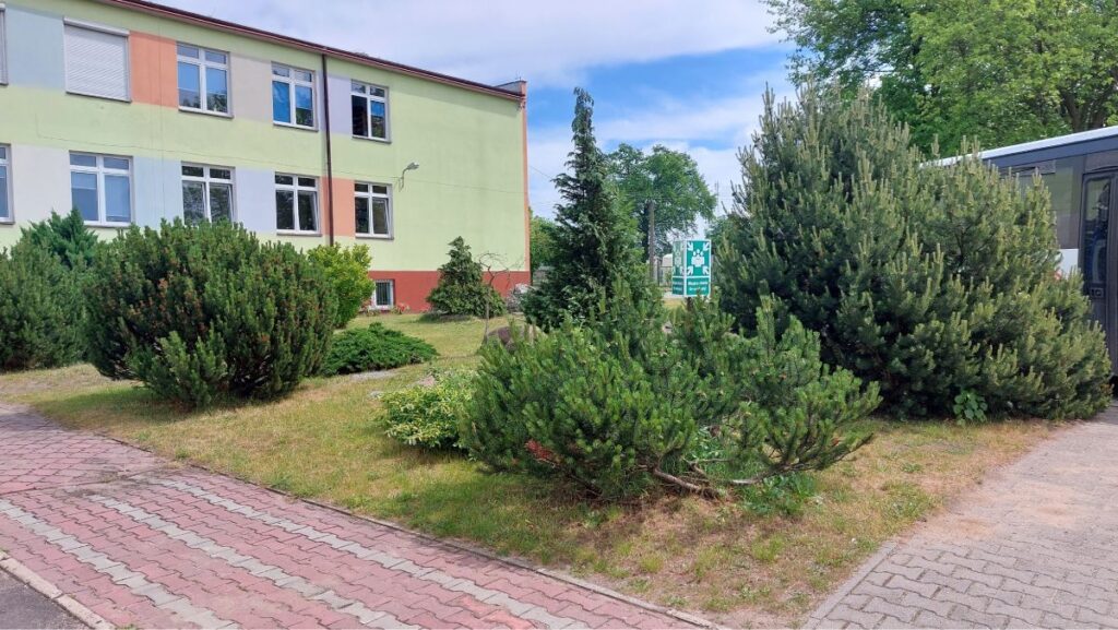 ekopracownia-5-zielona-ostoja-zso-sedziejowice